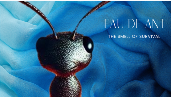 Eau De Ant 600x342
