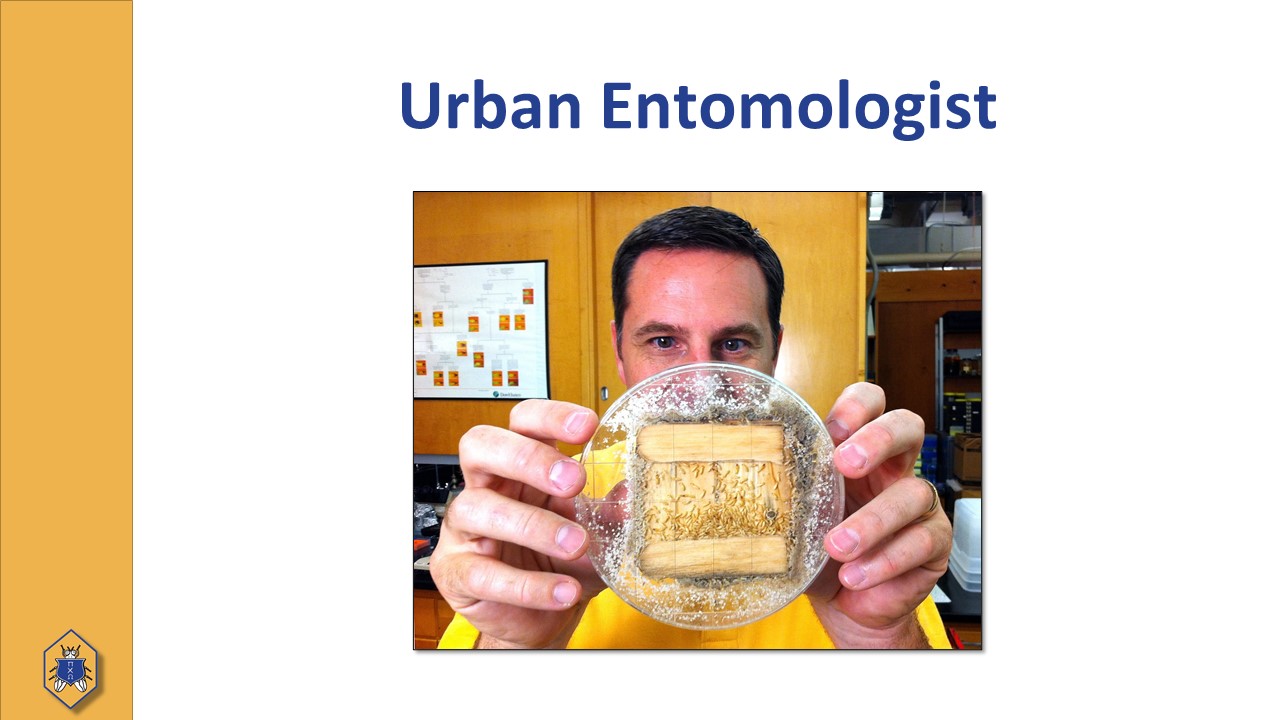 Urban Entomologist